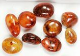 Lot: / lbs Polished Carnelian Agate (- Pieces) #77286-2